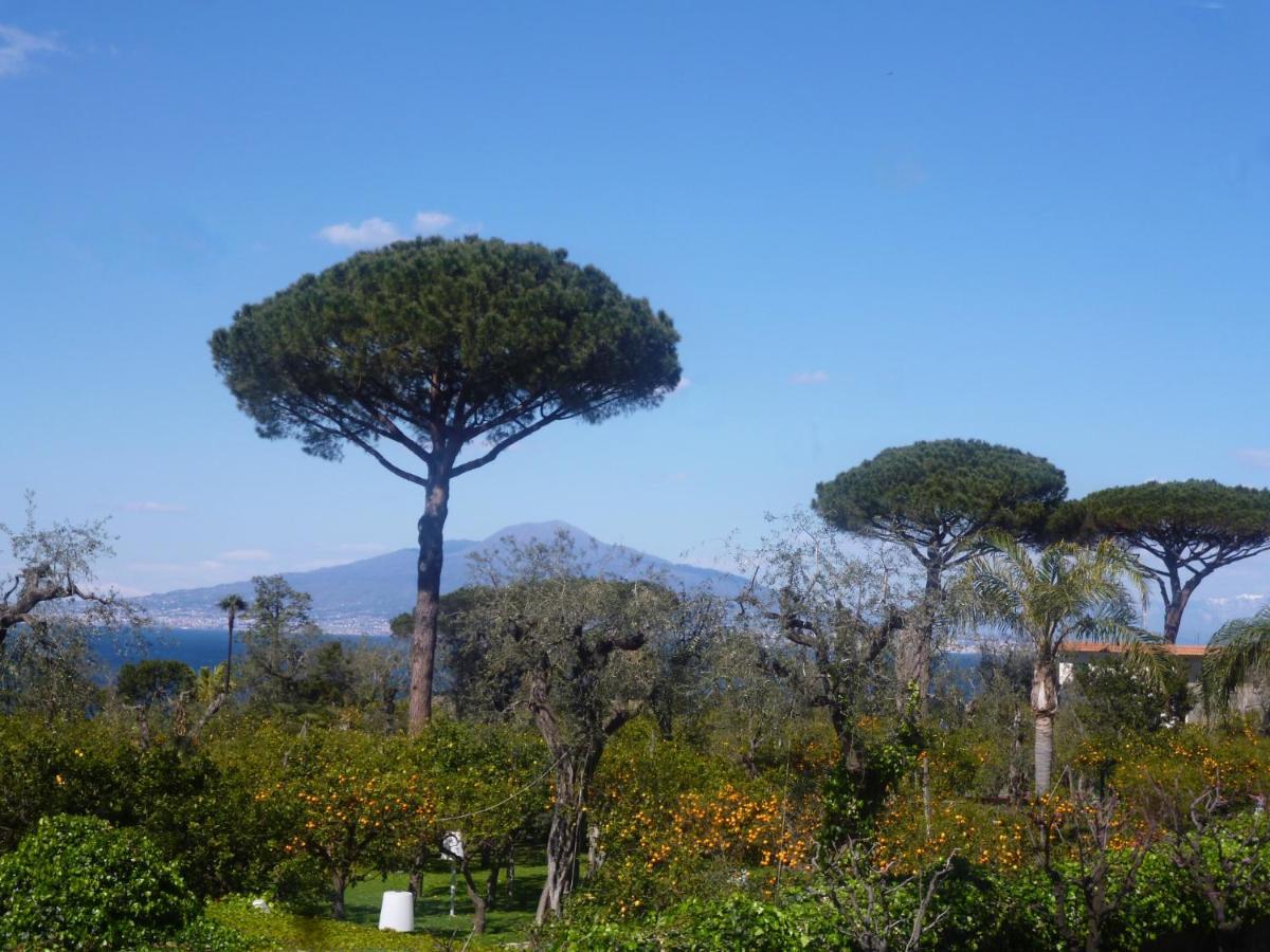 Angelina Suite B&B - Sorrento Centro Exteriér fotografie